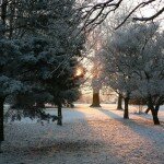 Wherstead Park