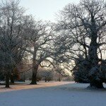 Wherstead Park